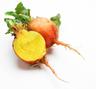 Beetroot: Golden