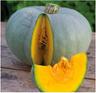 Squash: Crown Prince
