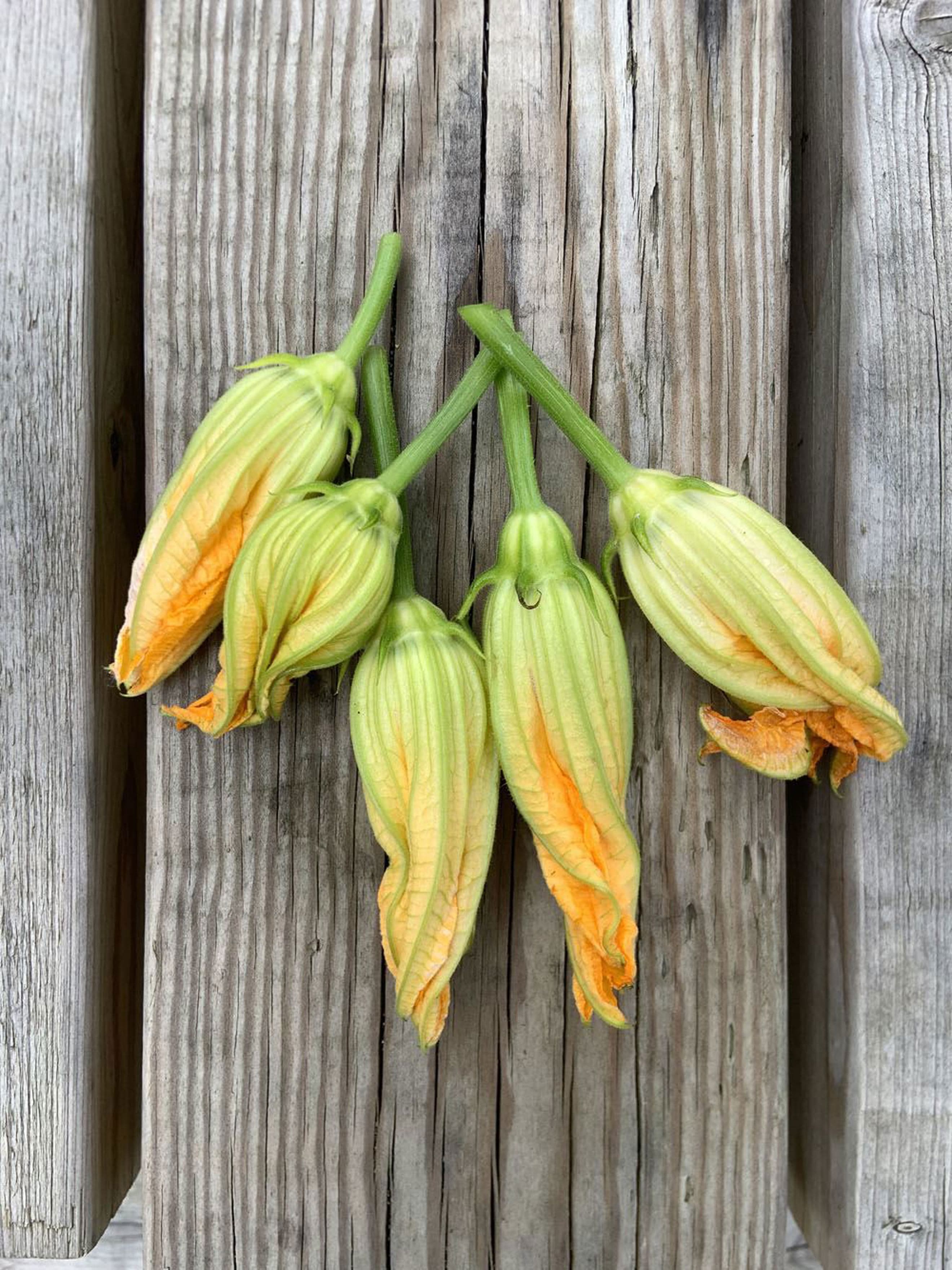 Courgette flowers (x 5)