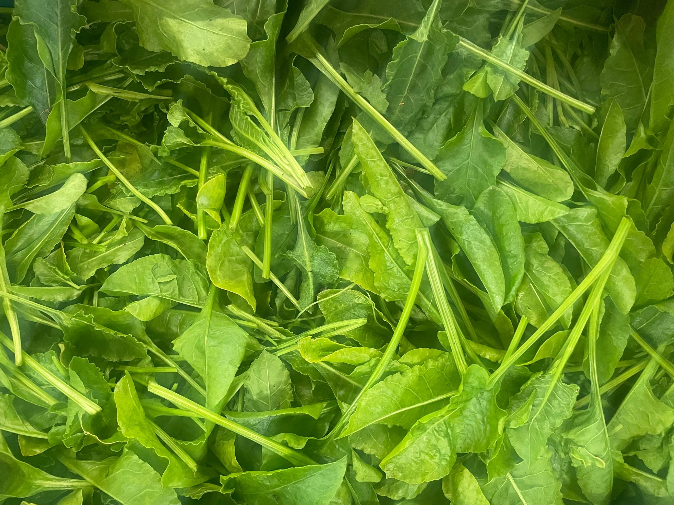 Spinach (200g)