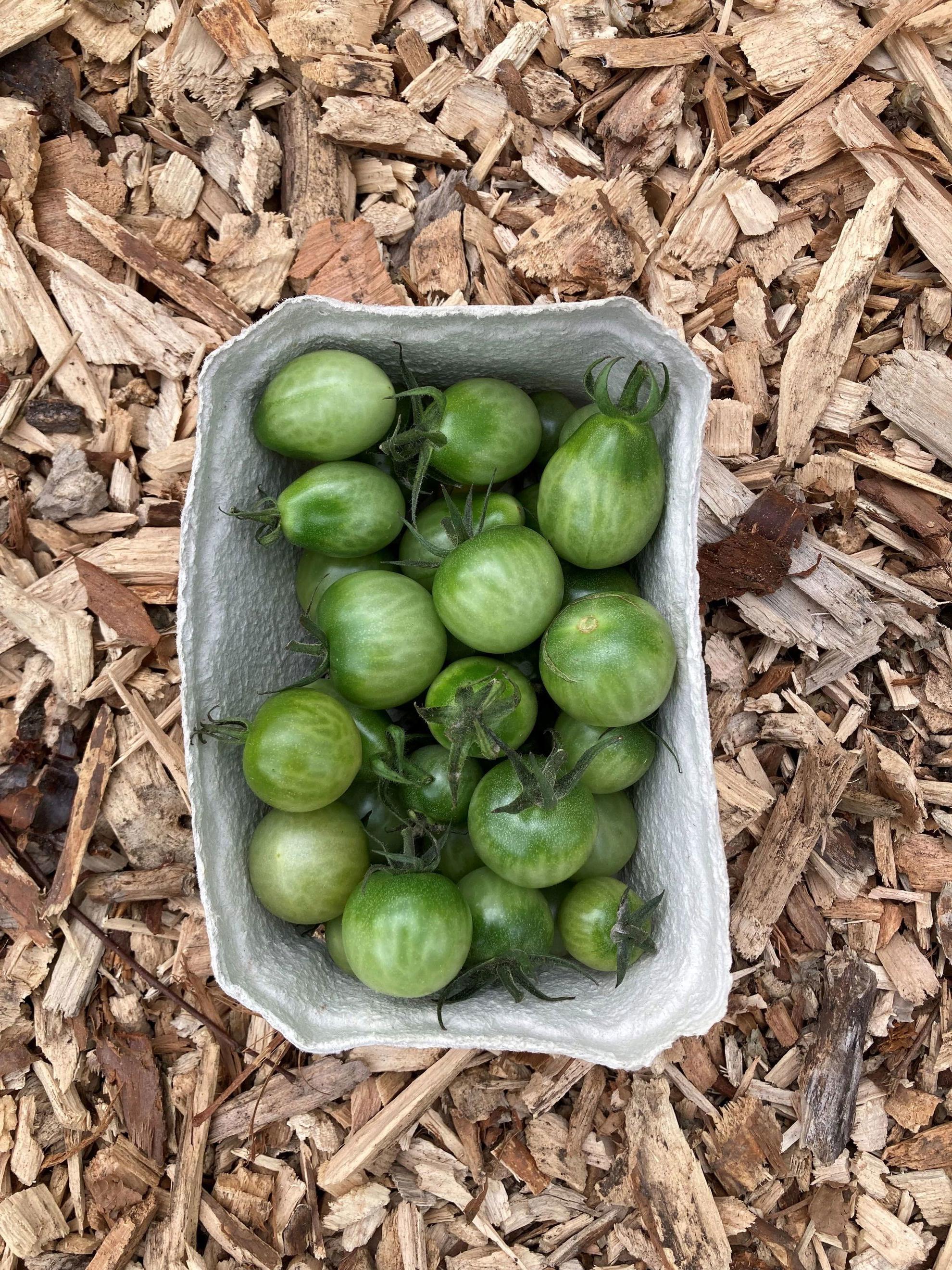 Green Tomatoes (500g)