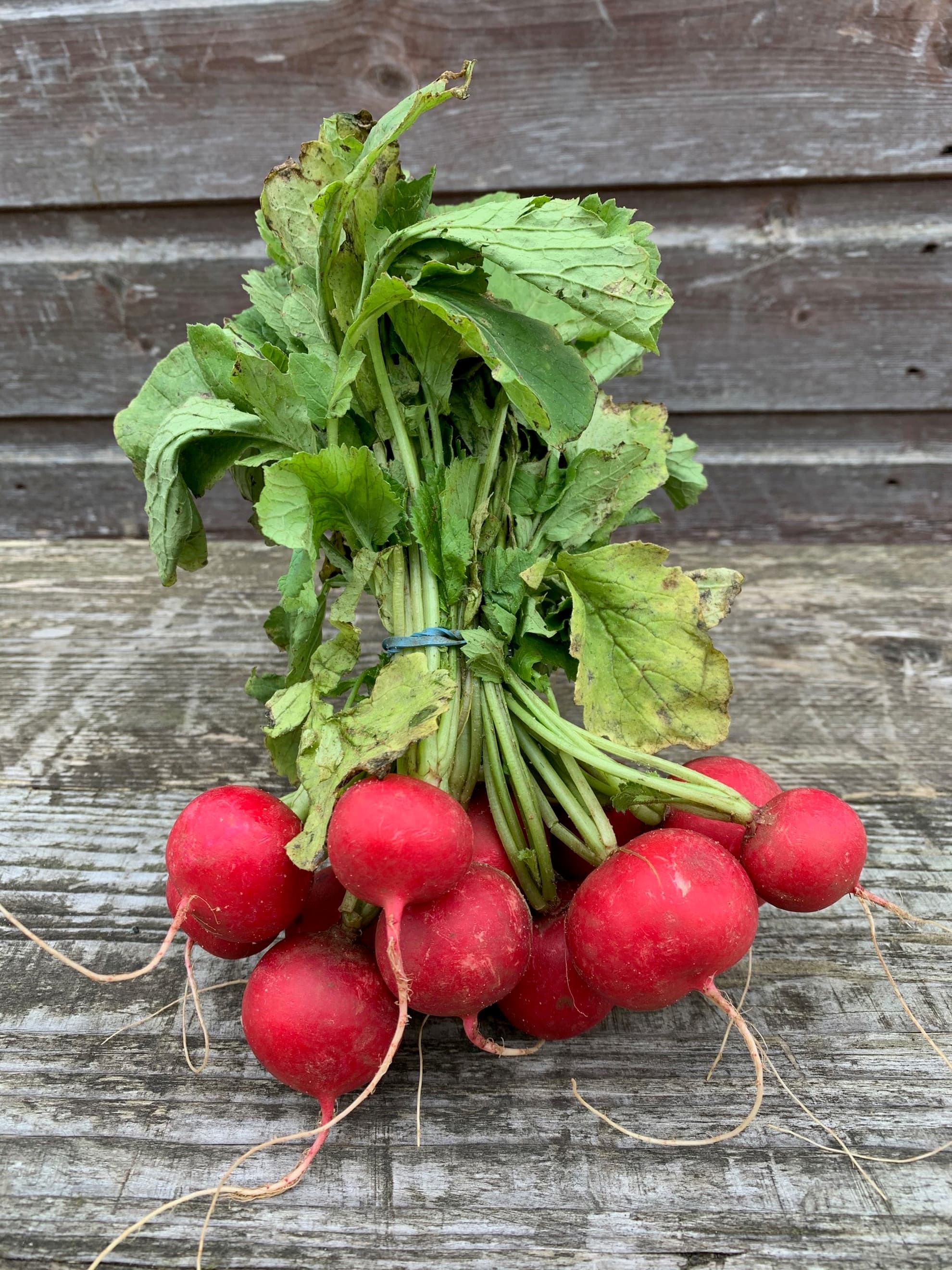 Radish (250g)