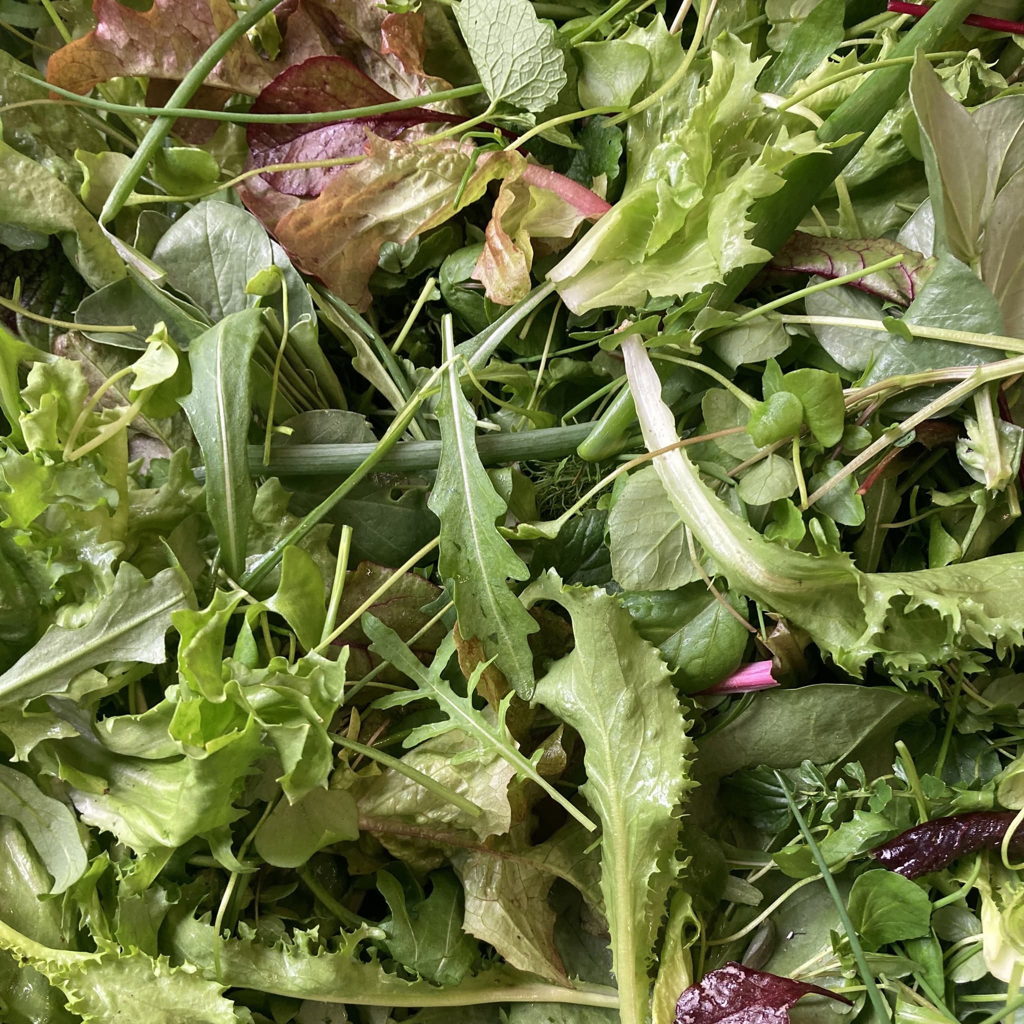 OrganicLea salad (100g)