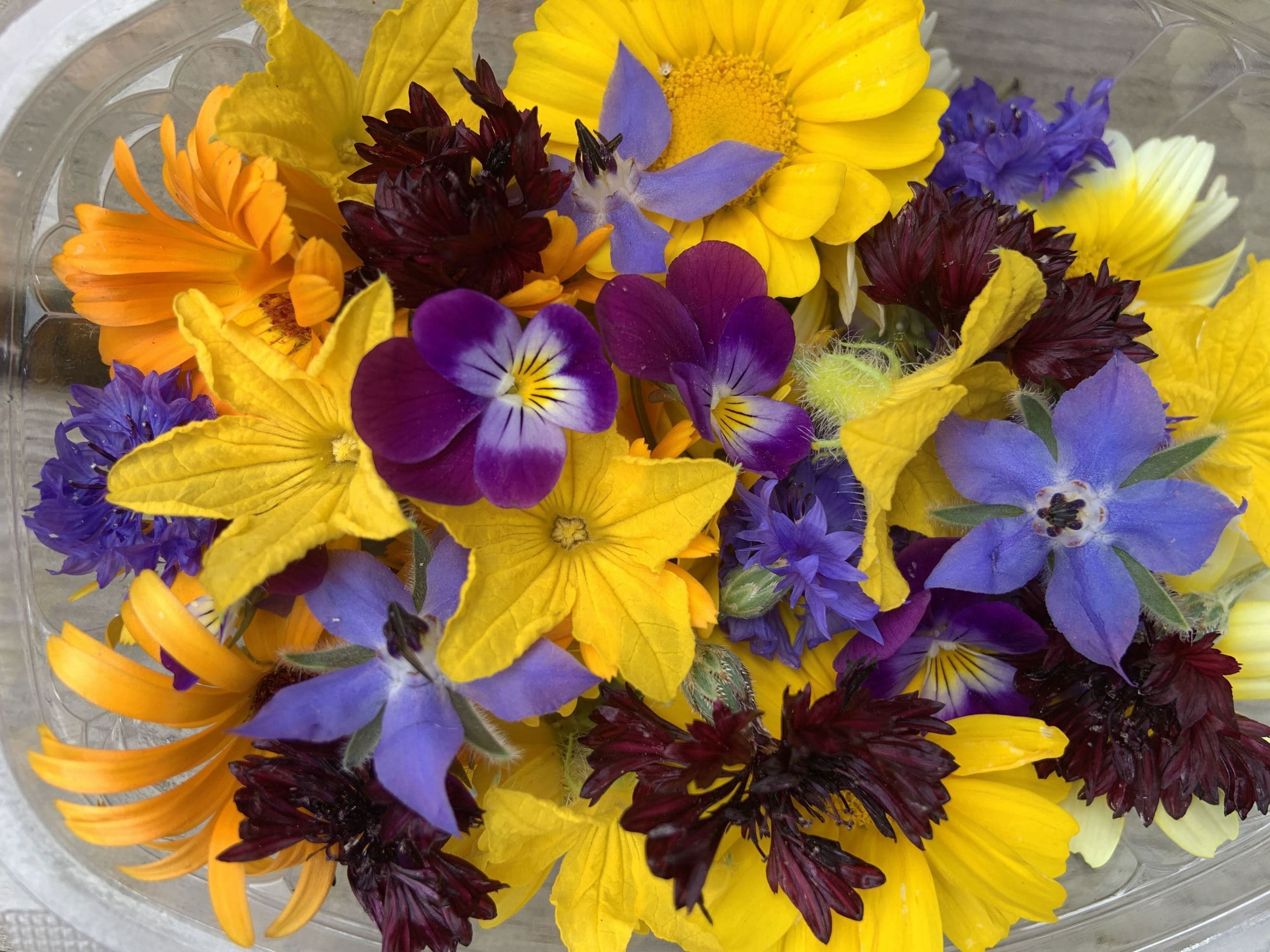 Edible flowers (×40)