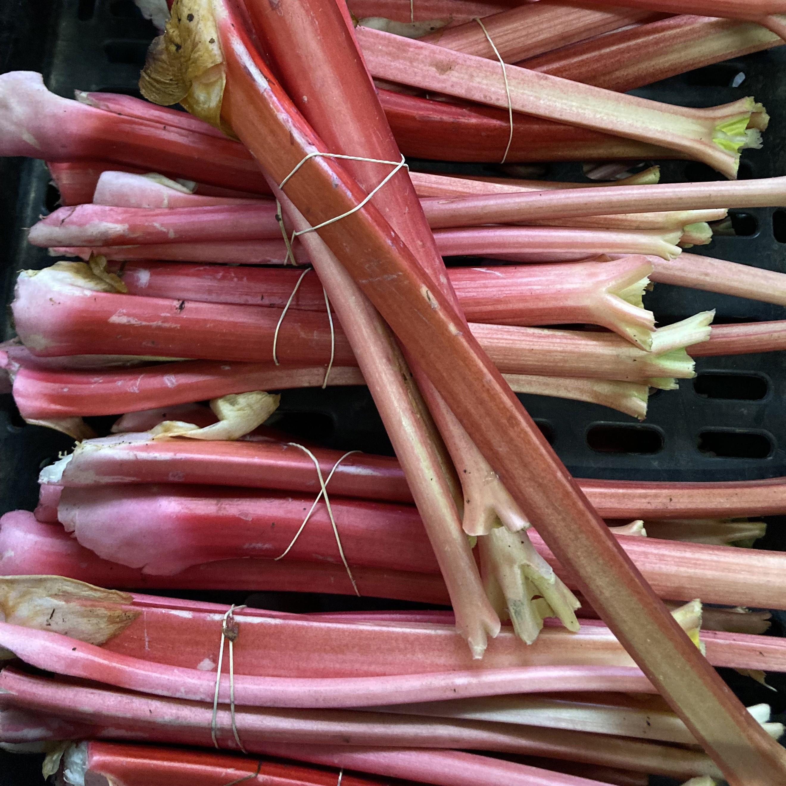 Rhubarb Maincrop (400g)