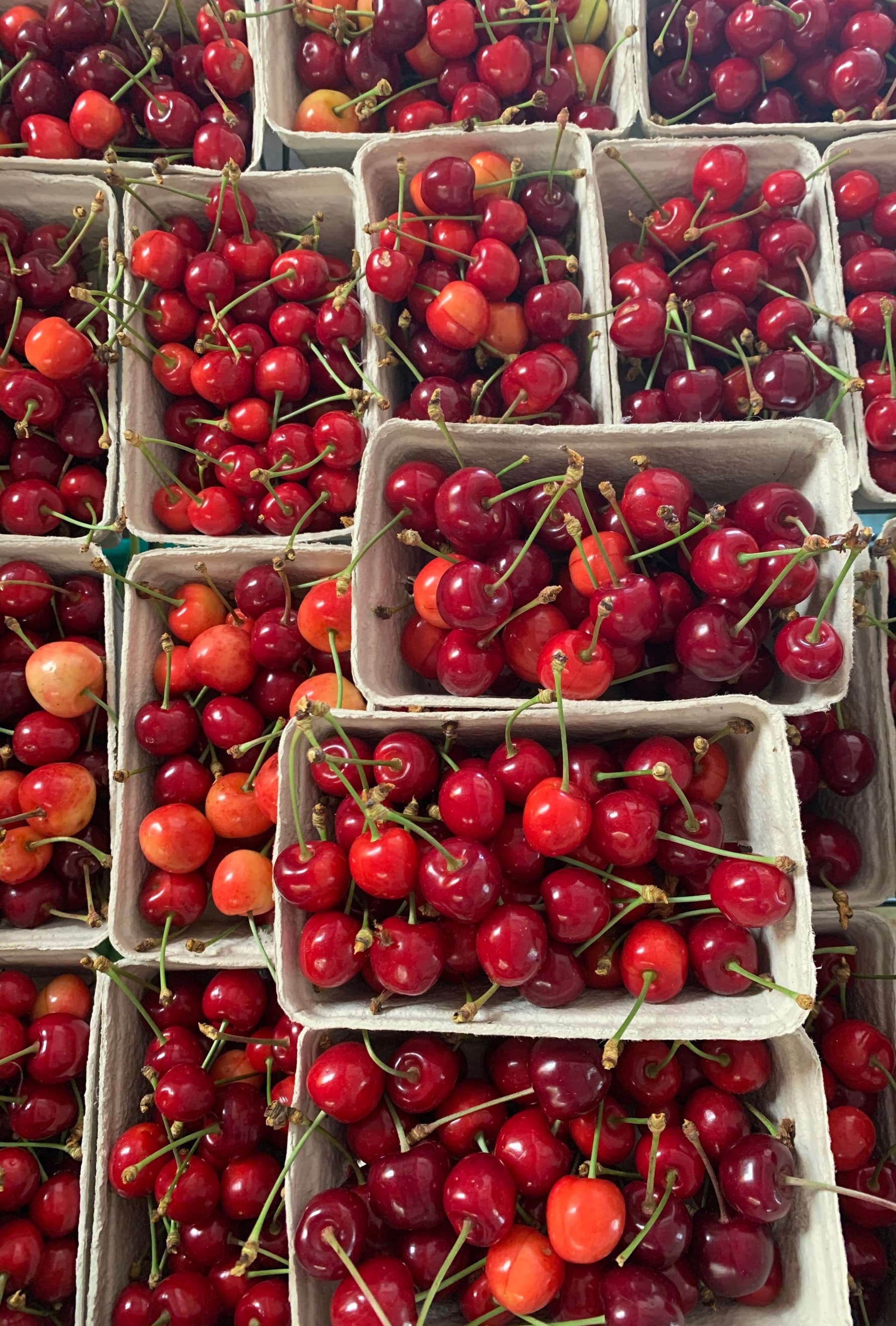 Cherries (250g)