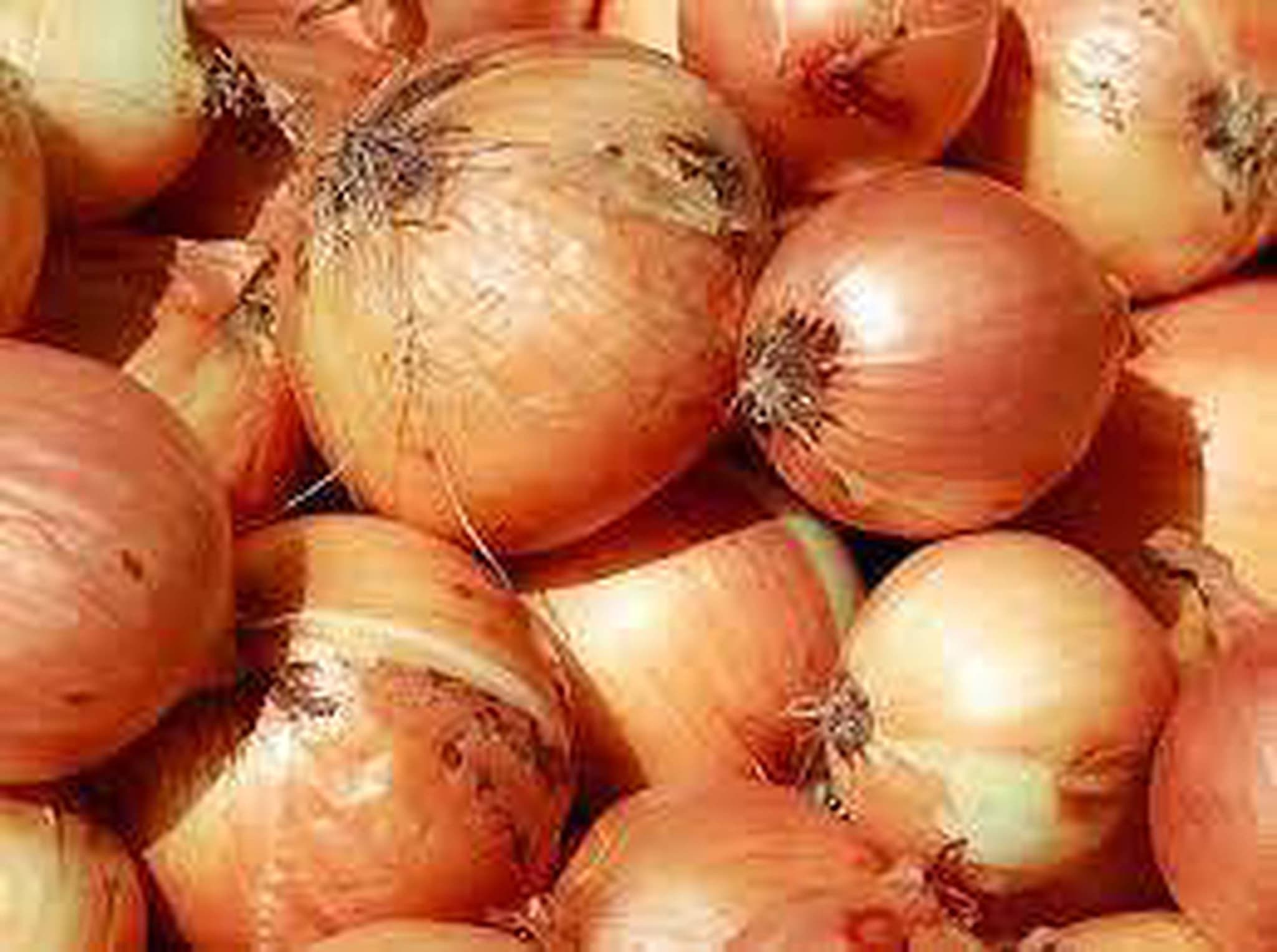 Brown Onions (500g)