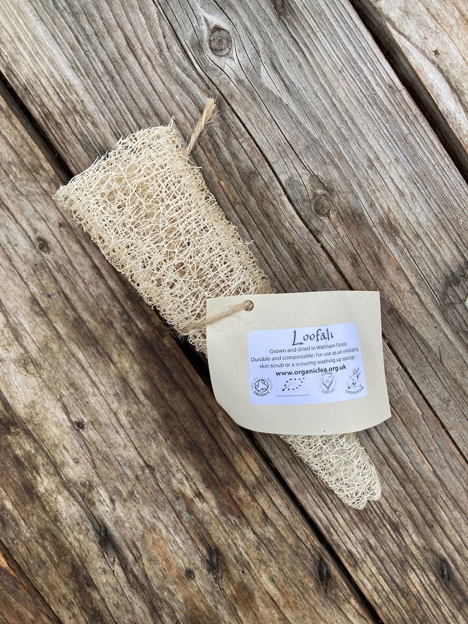 Loofah