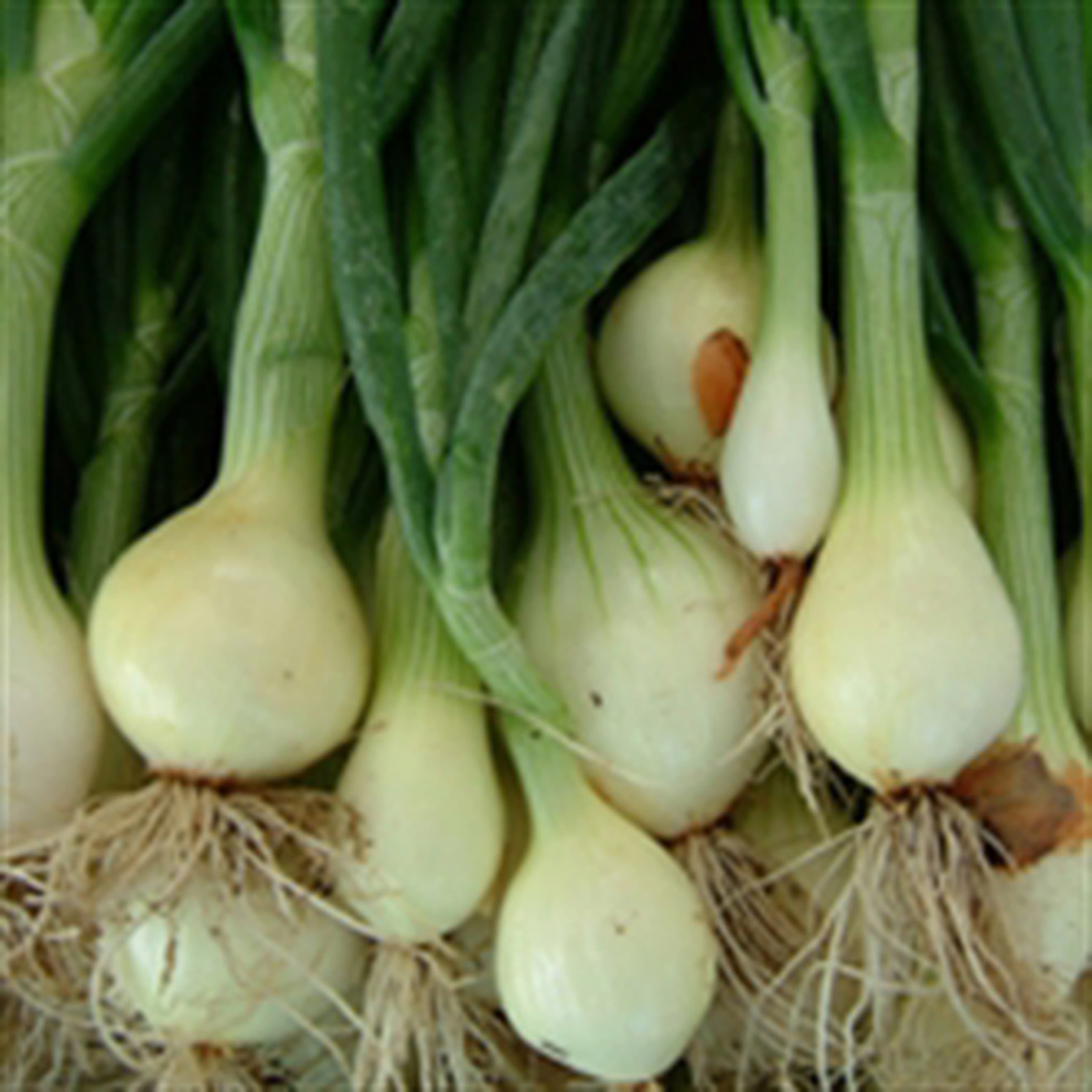 Green Onions