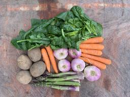 Image of Small No Potatoes Veg Bag