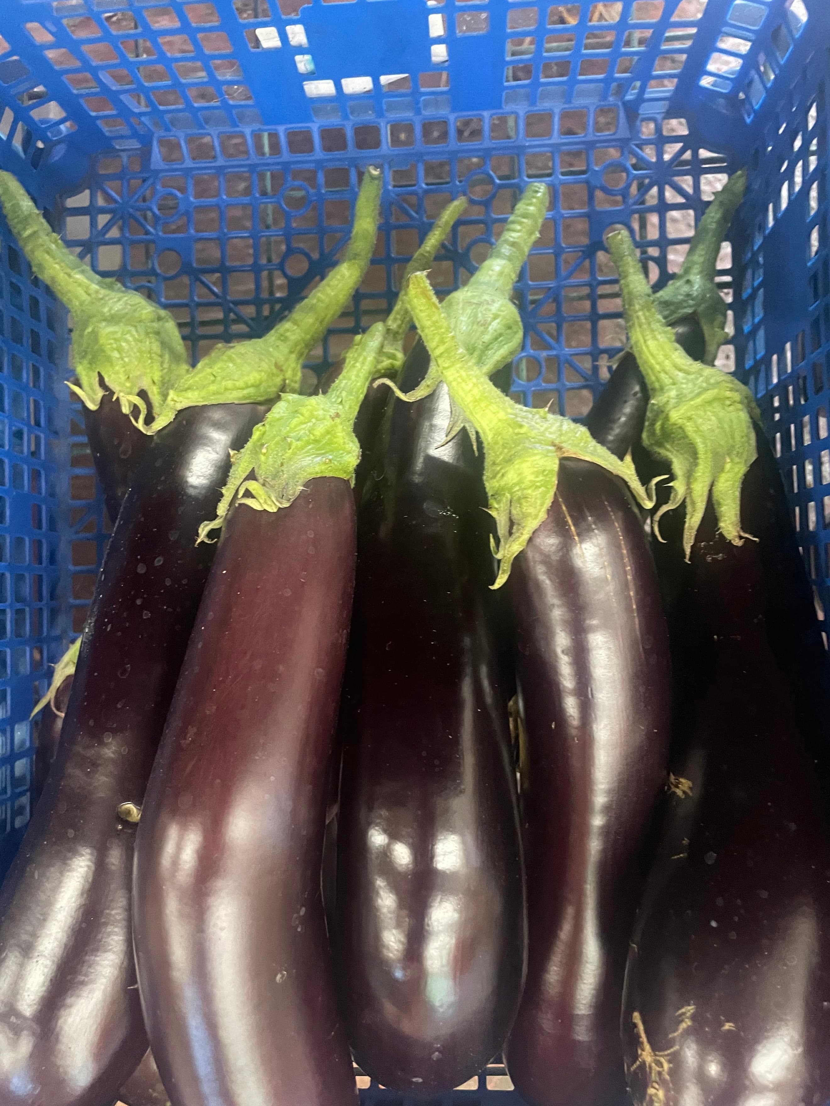 Aubergine (350g)