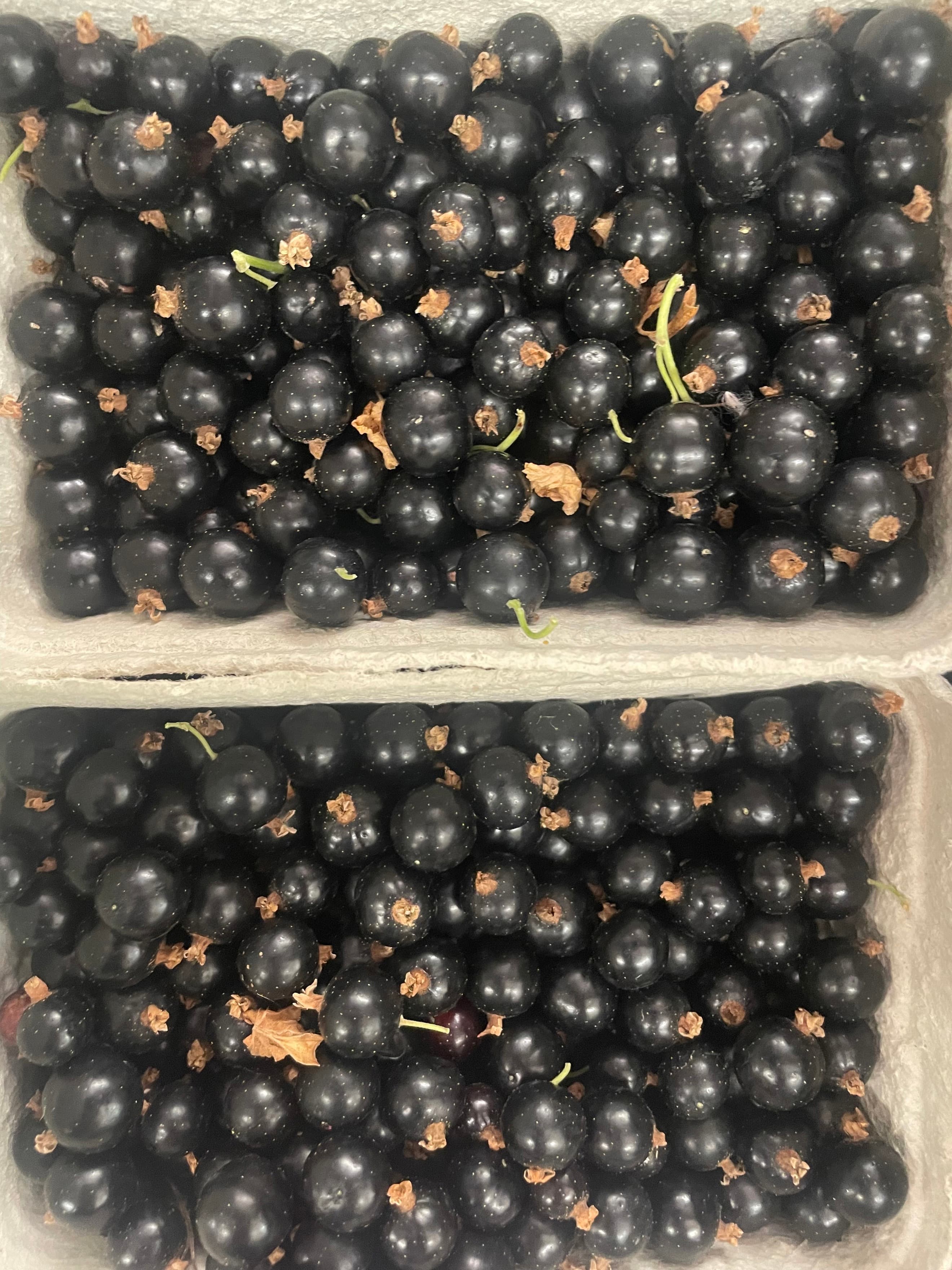 Blackcurrants (200g)